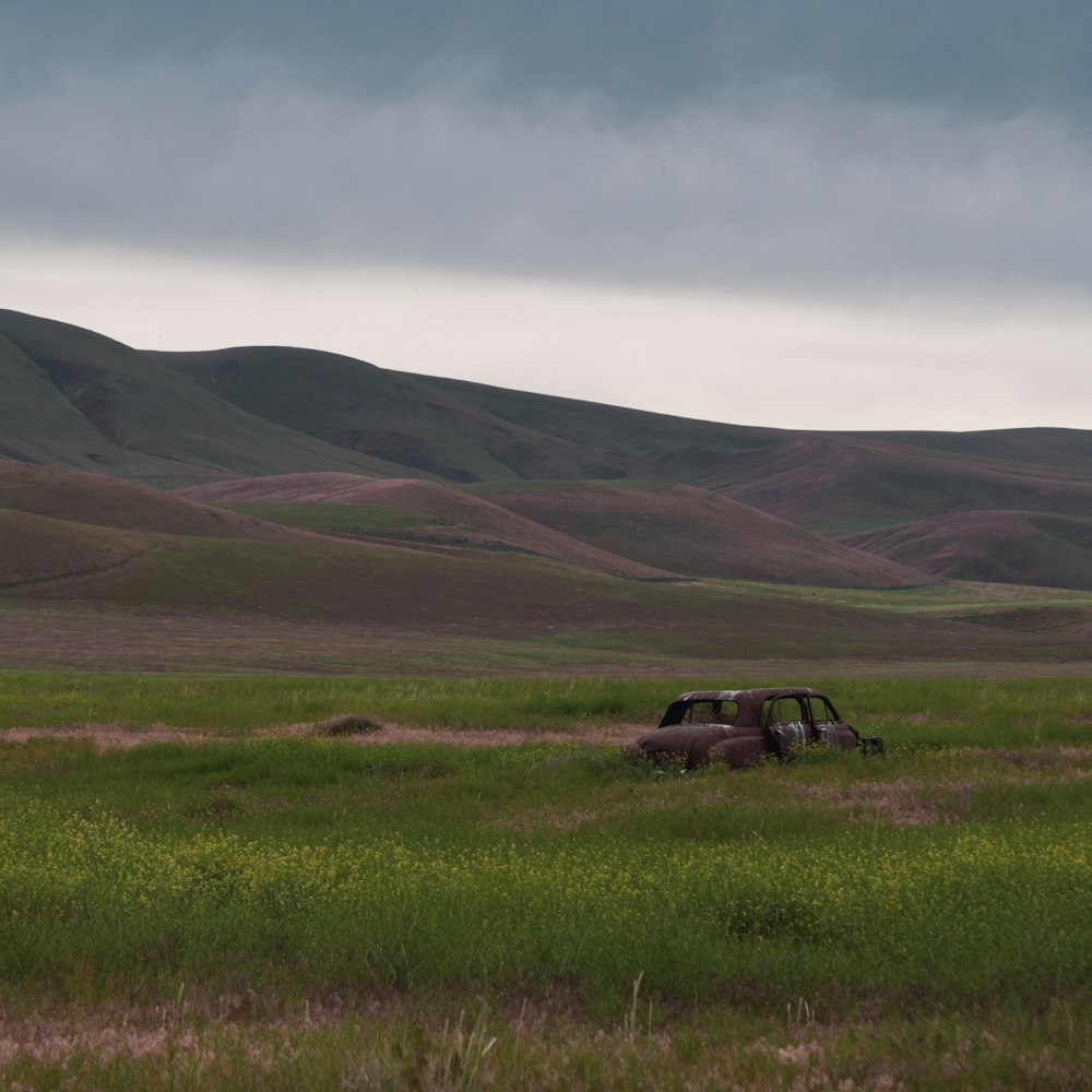 a helicopter flying over a grassy field