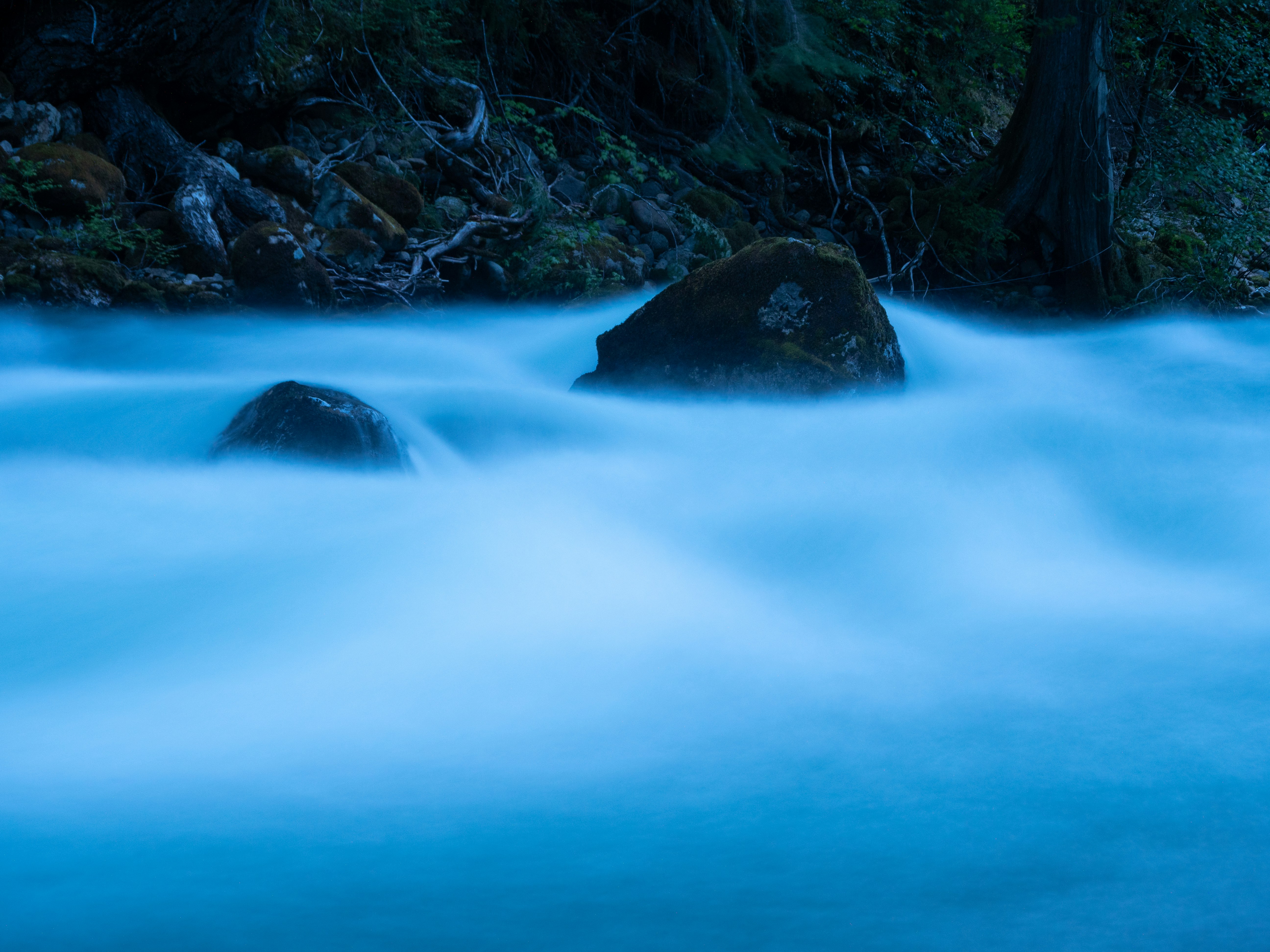 gray computer monitor