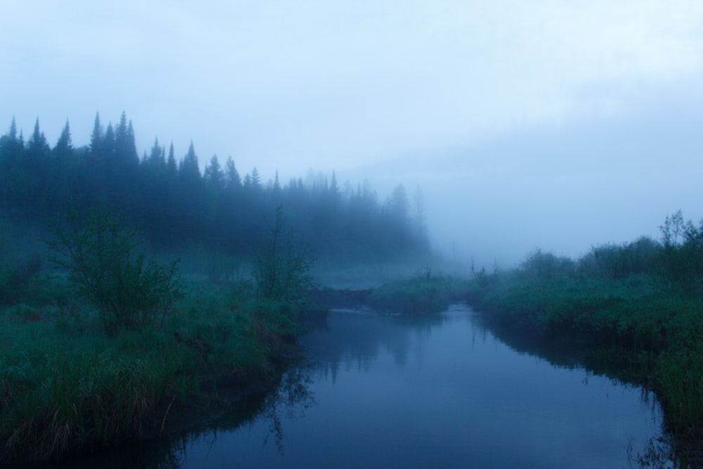 a river with trees and fog