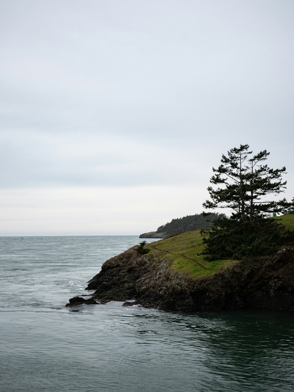 a tree on a rocky island