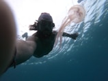 A person is snorkeling underwater, extending an arm forward with a visible wristband. A jellyfish floats nearby, its tentacles trailing through the water. The water appears clear with light reflections on the surface.