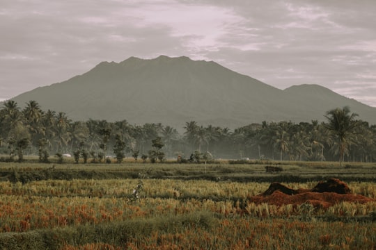 None in Banyuwangi Indonesia