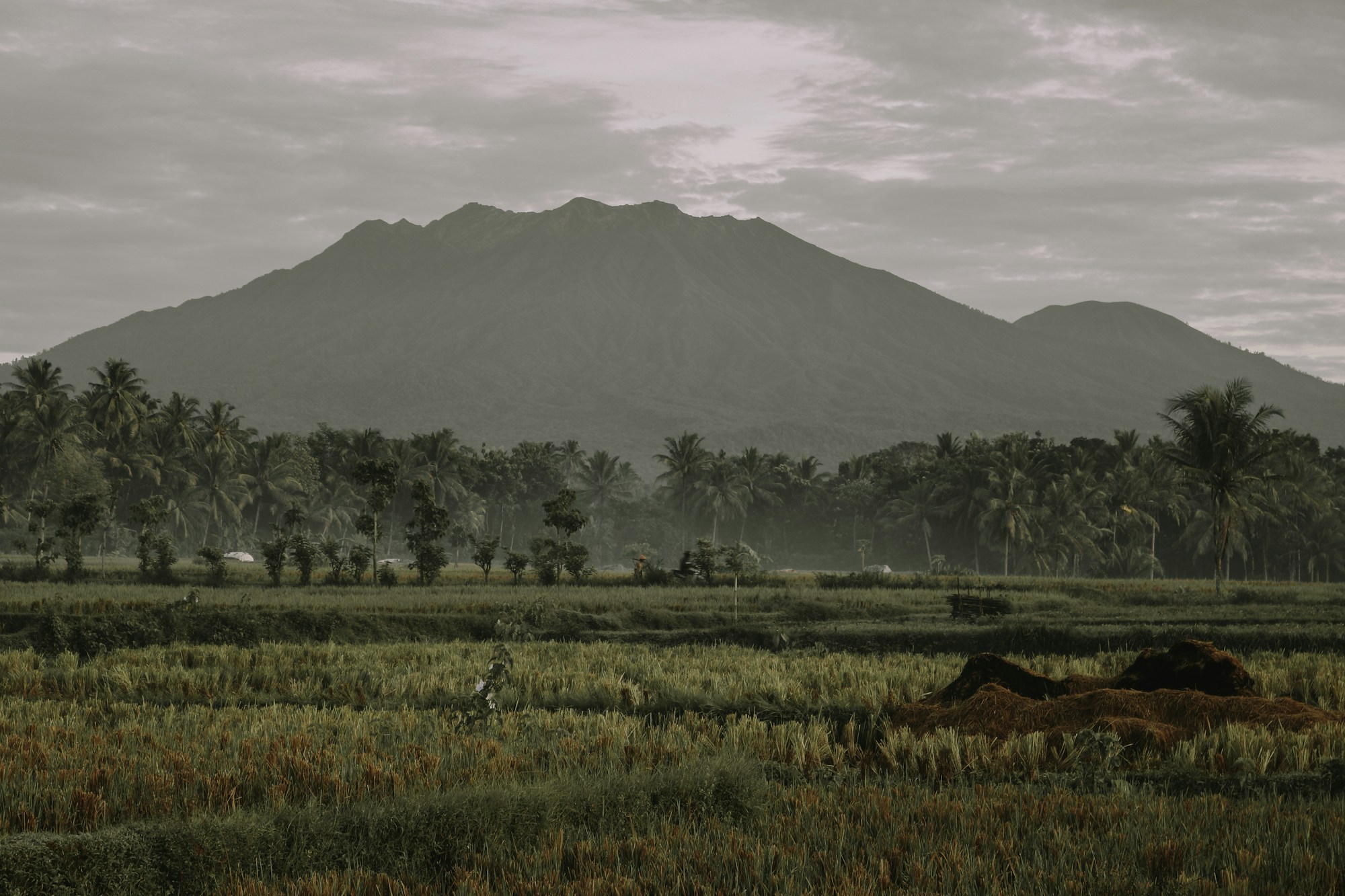 Banyuwangi Travel Guide: Discover Local Gems