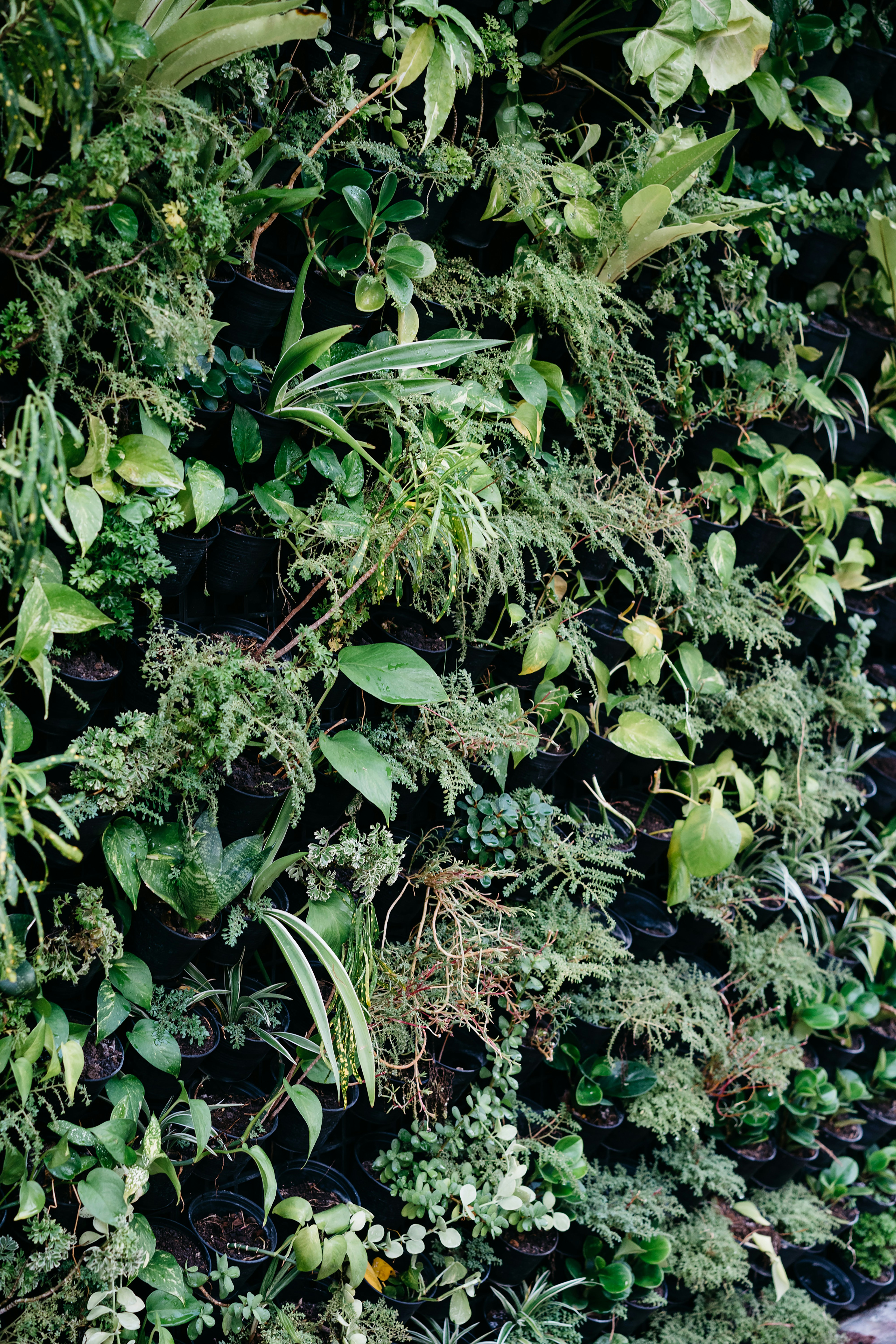 Photo by markuswinkler