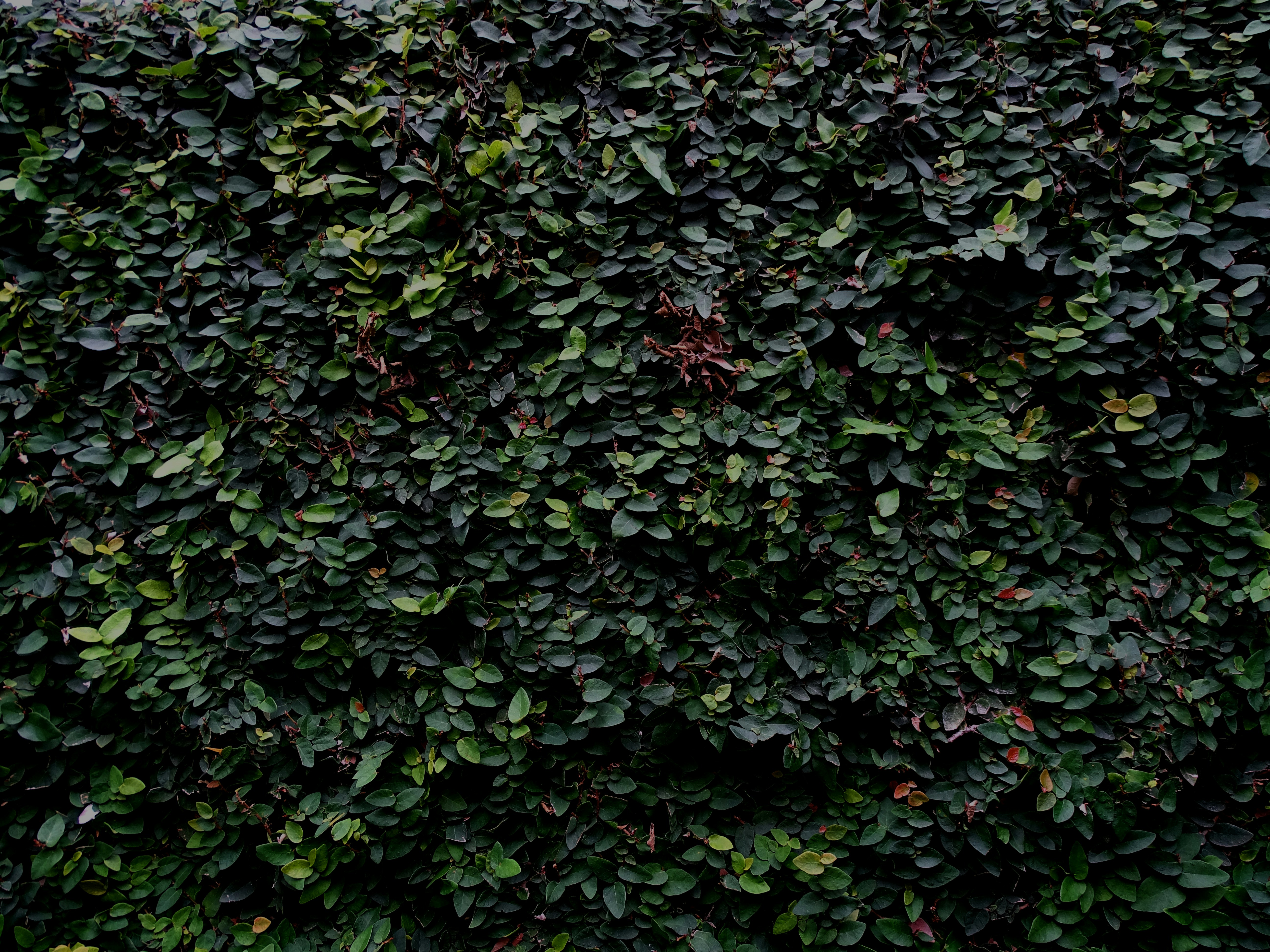 Photo by moorenstudio