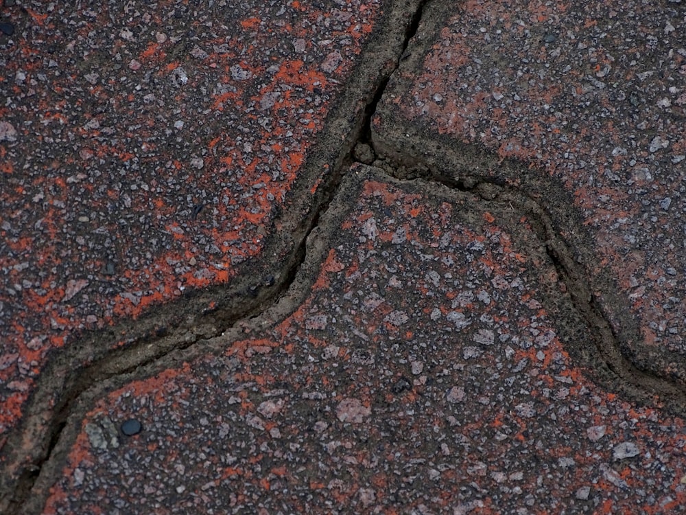 a close-up of a rock