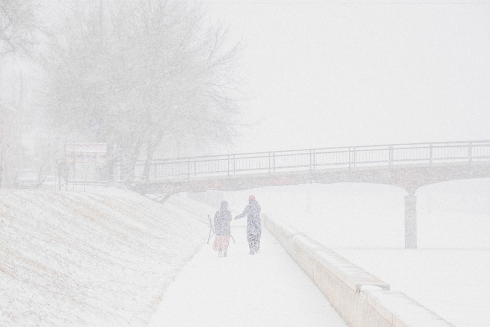 a couple people walking on a bridge