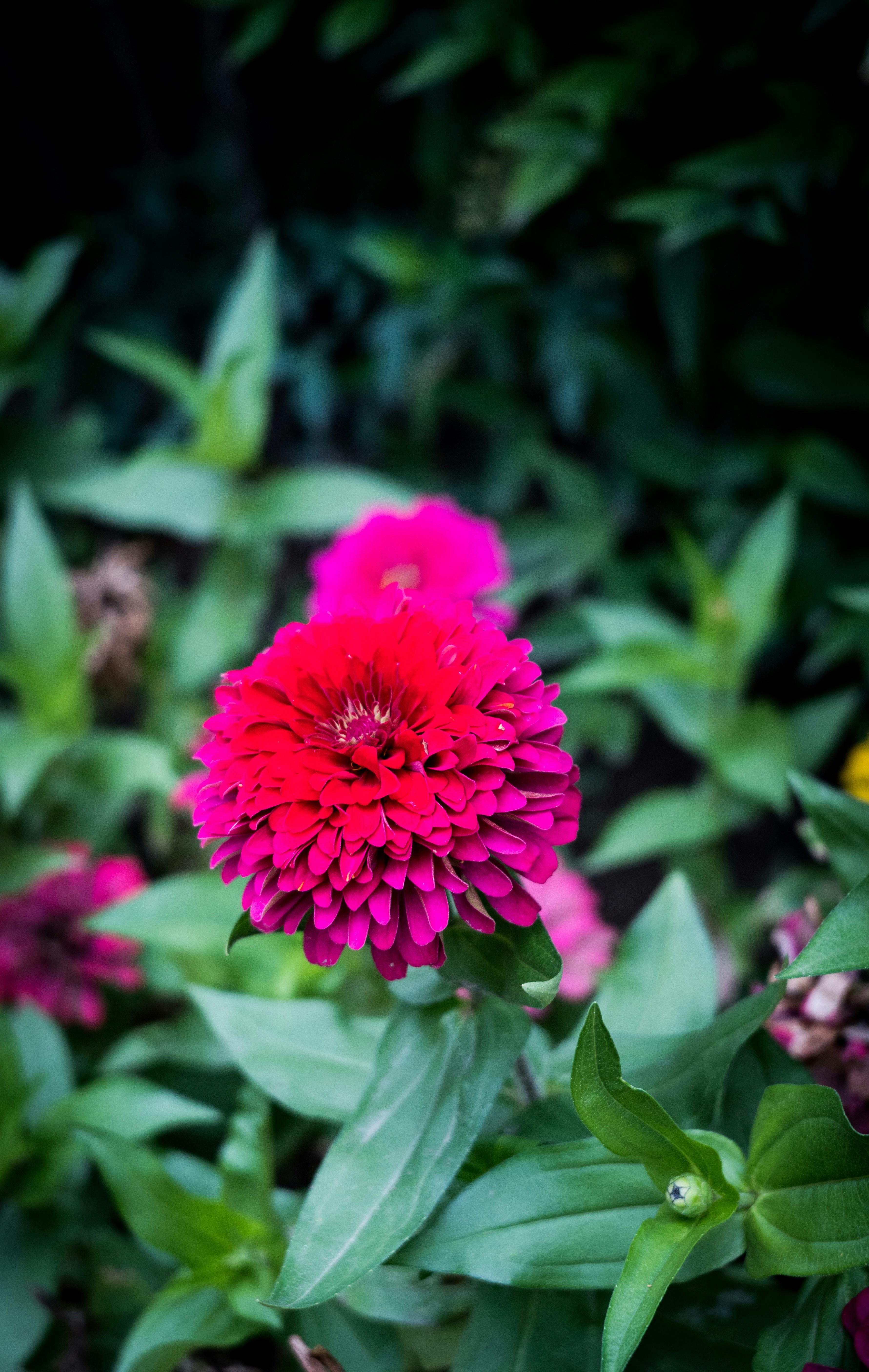 Day Trips to Gyeongju and Andong