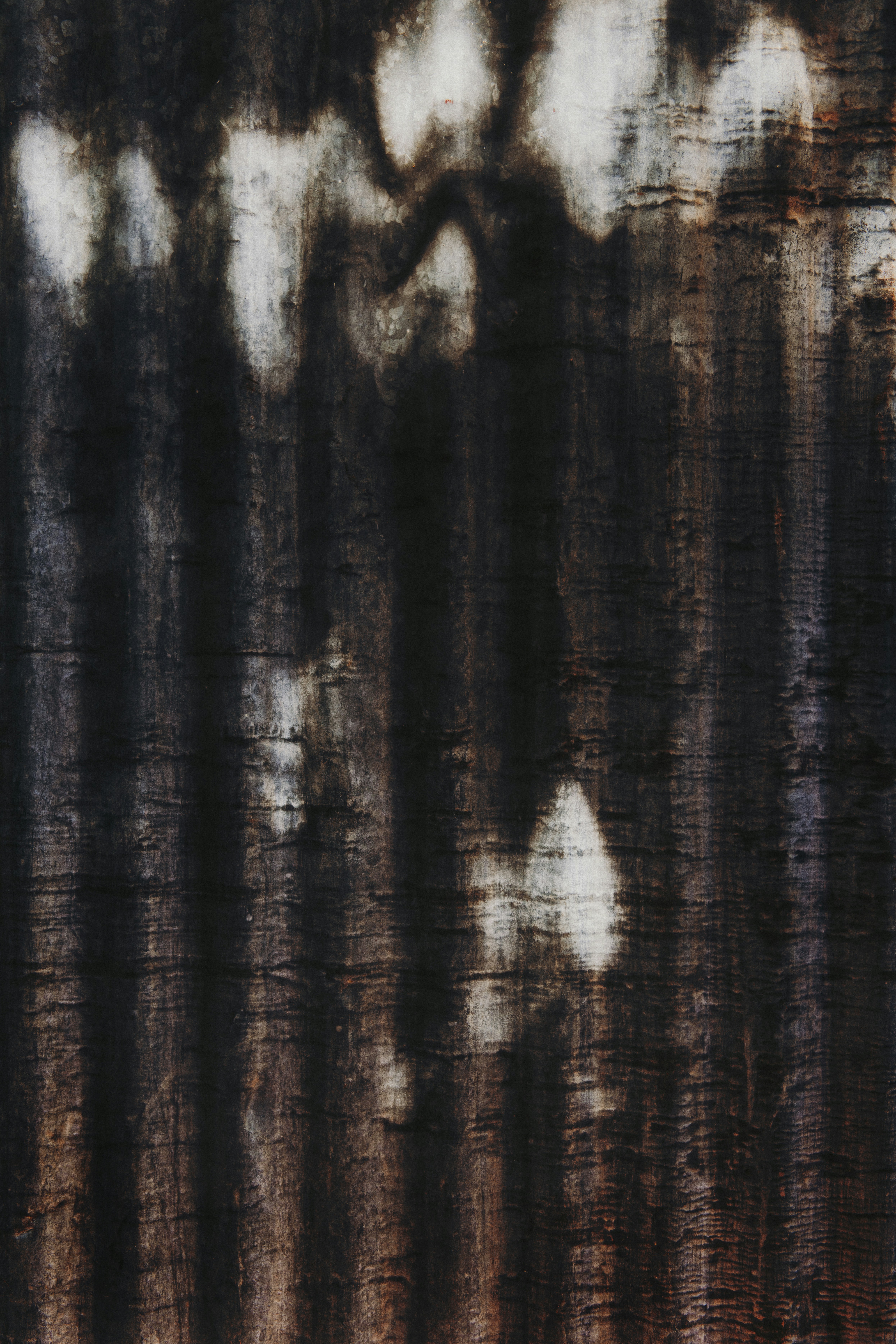 Photo by timmossholder