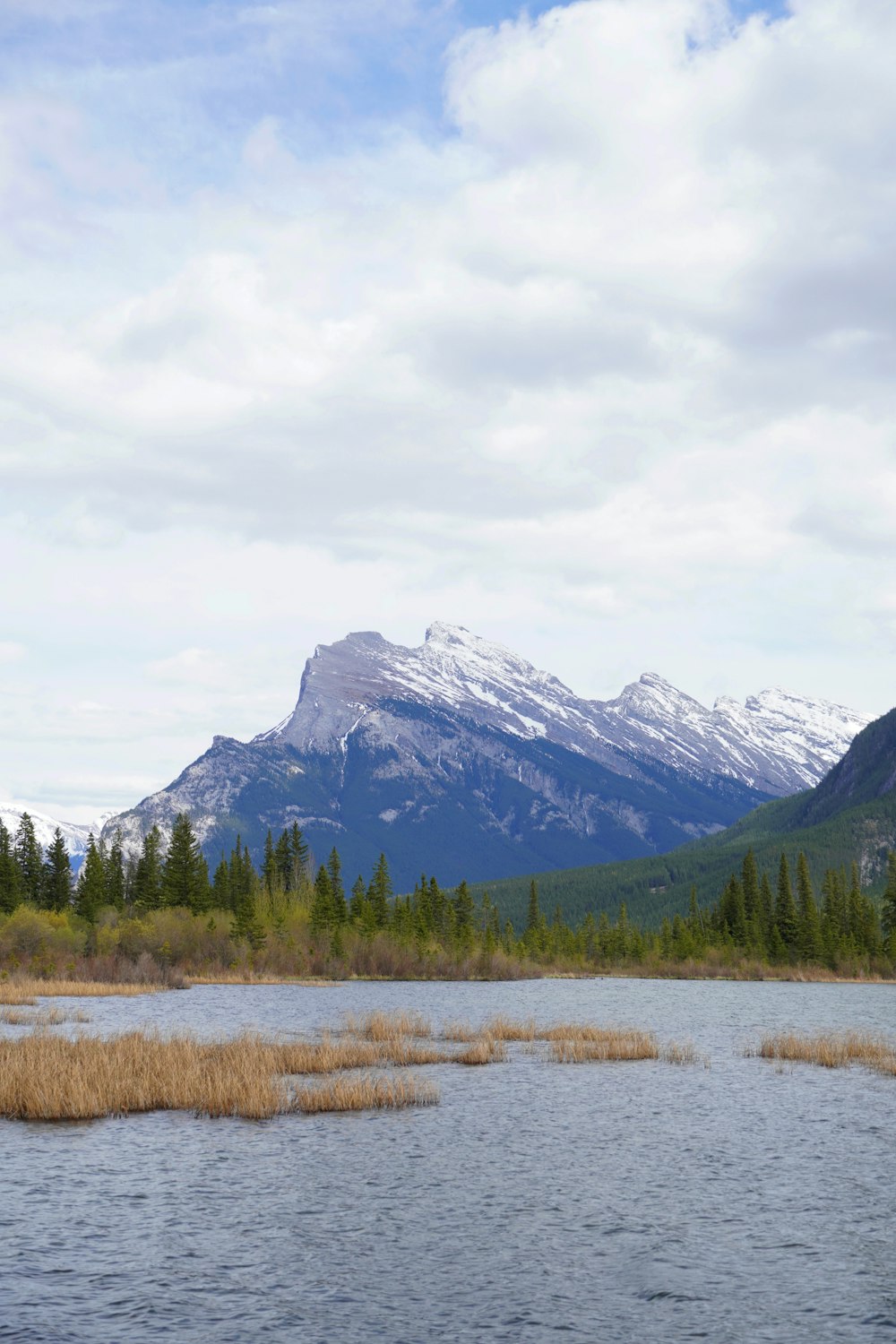 a lake with trees and mountains in the background