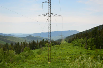 Transmission infrastructure stretching across a green landscape, symbolizing connectivity.