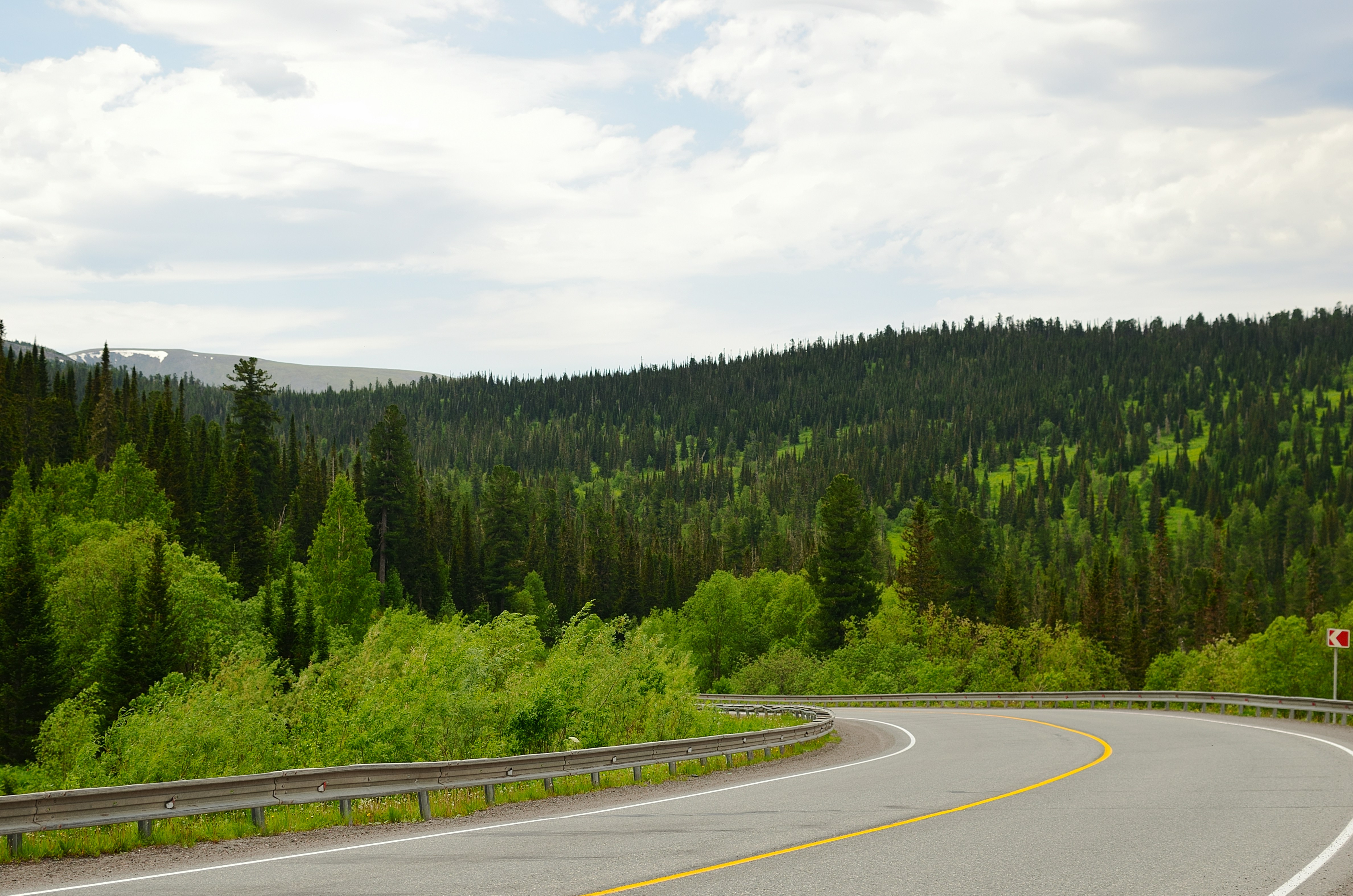 a road with trees on the side