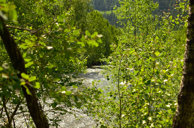 A serene view of the Kali River winding through dense green forests with sunlight filtering through the canopy.