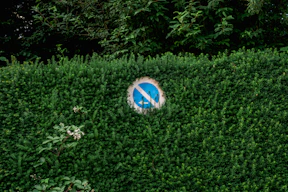 a round object surrounded by bushes