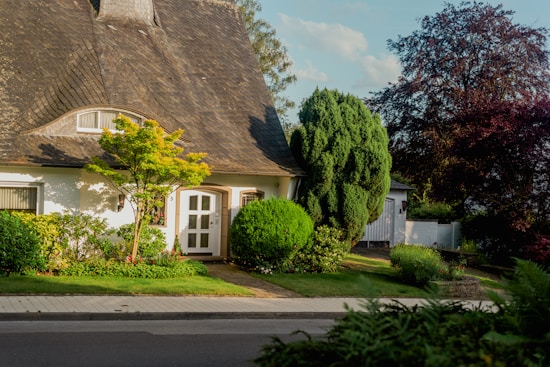A picturesque house with a steep, shingled roof surrounded by lush greenery. The front door is framed by a variety of shrubs and a small tree. There's a sidewalk in front of the house and the scene is bathed in warm sunlight.