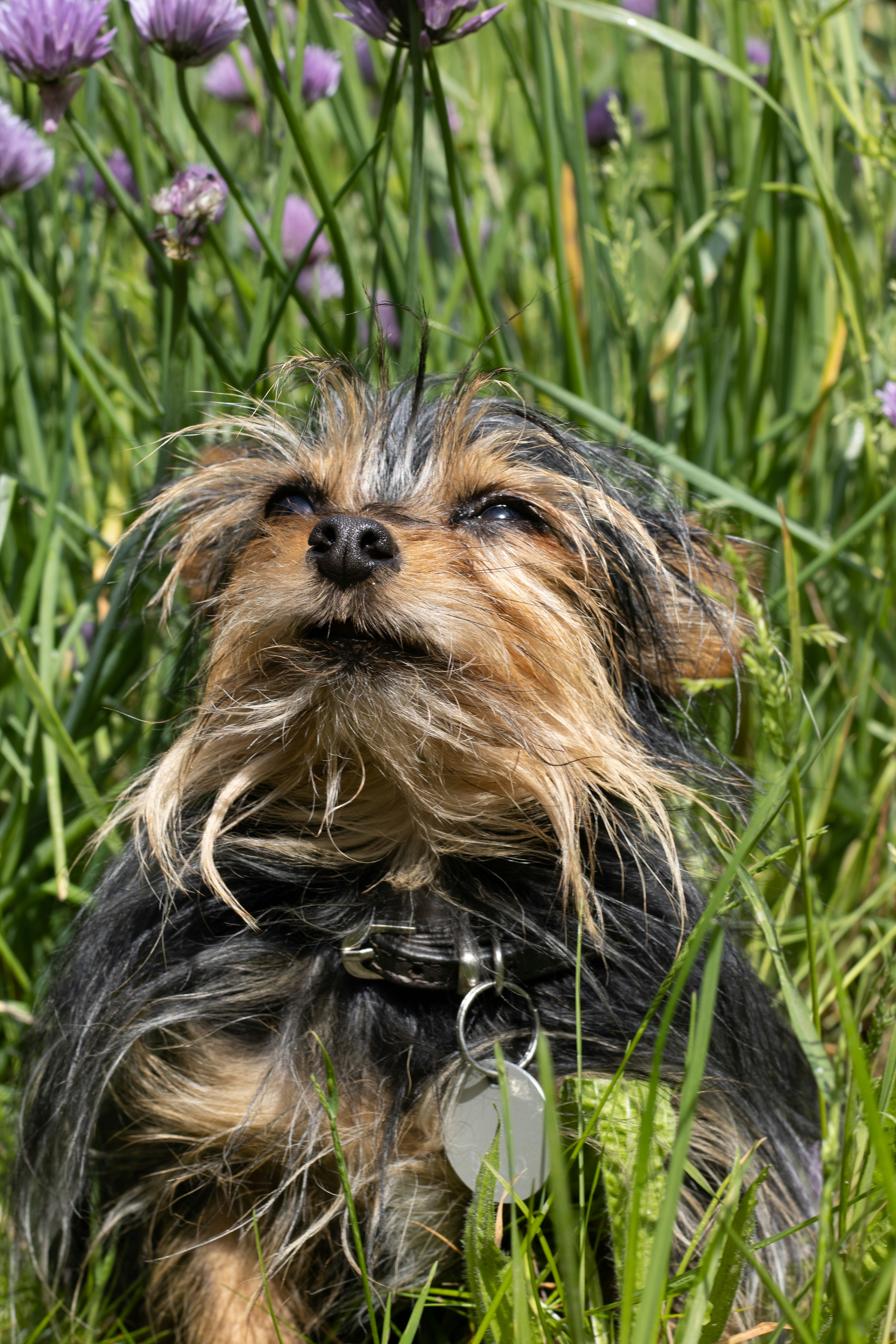 Photo by mirkofabian