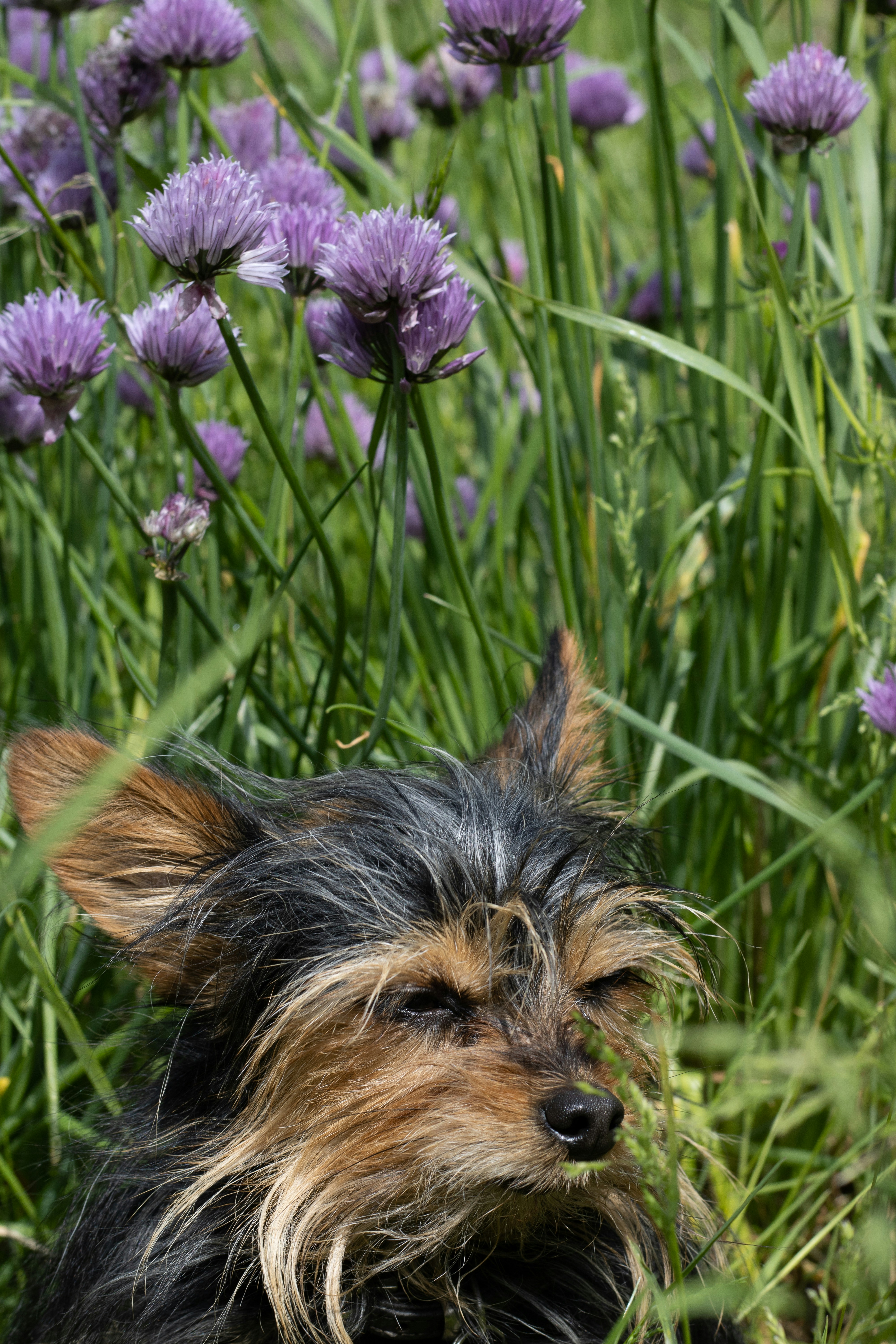 Photo by mirkofabian