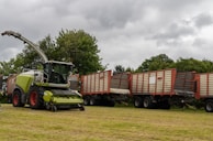 A large agricultural machine, likely a forage harvester, is parked on a grassy field. It is equipped with a header suitable for cutting crops. Behind the harvester, several large trailers are lined up, which appear to be used for transporting harvested materials. The background consists of dense green trees under an overcast sky.