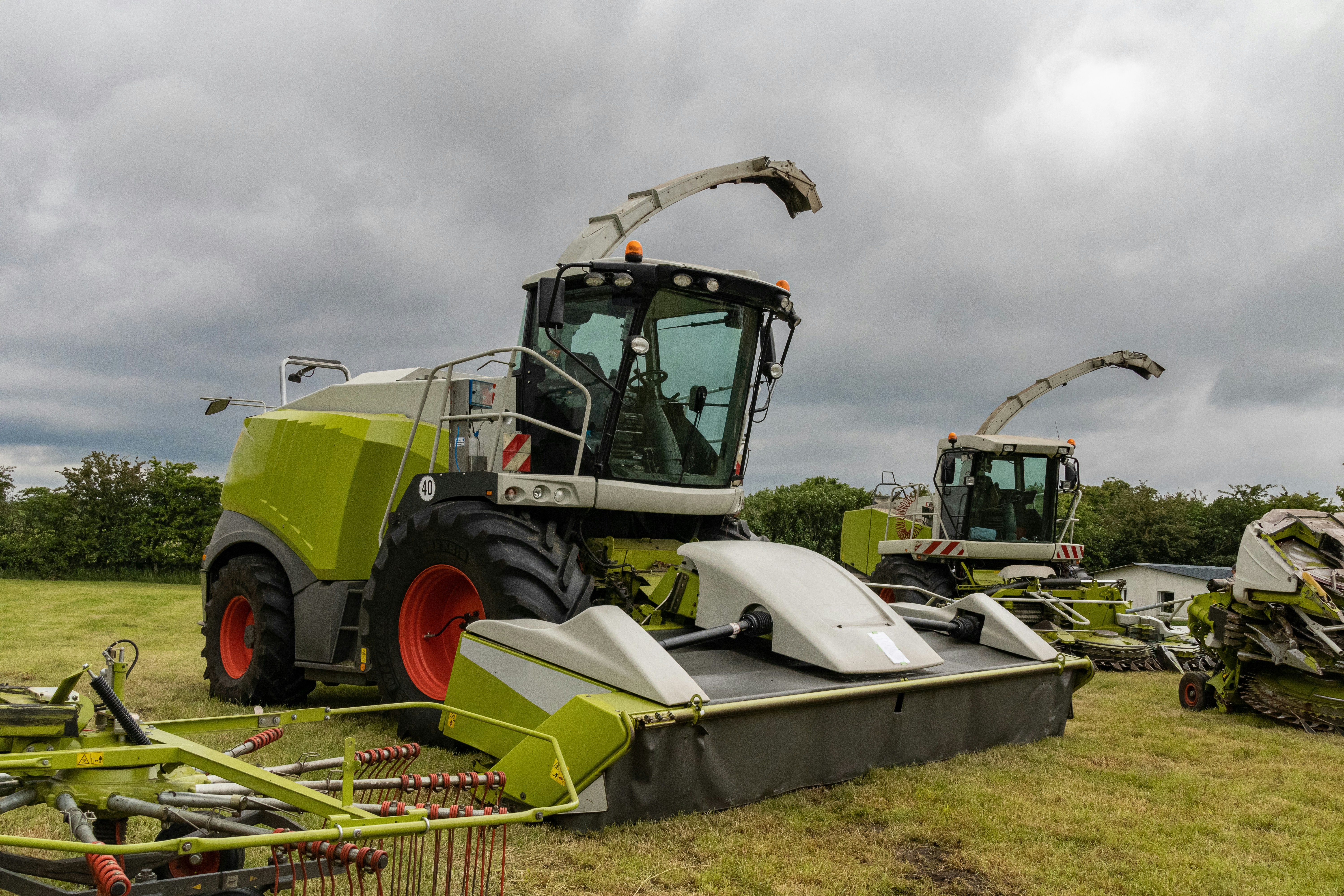 Photo by mirkofabian