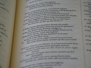 A close-up view of text printed on a page, likely from a book. The text is organized in paragraphs with numbered lines, suggesting it's a piece of structured literature such as poetry or scripture. The paper appears to be slightly yellowed, indicating age or a specific style of paper.