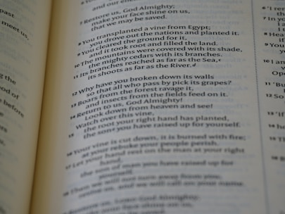 A close-up view of text printed on a page, likely from a book. The text is organized in paragraphs with numbered lines, suggesting it's a piece of structured literature such as poetry or scripture. The paper appears to be slightly yellowed, indicating age or a specific style of paper.