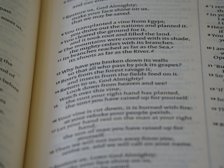 A close-up view of text printed on a page, likely from a book. The text is organized in paragraphs with numbered lines, suggesting it's a piece of structured literature such as poetry or scripture. The paper appears to be slightly yellowed, indicating age or a specific style of paper.