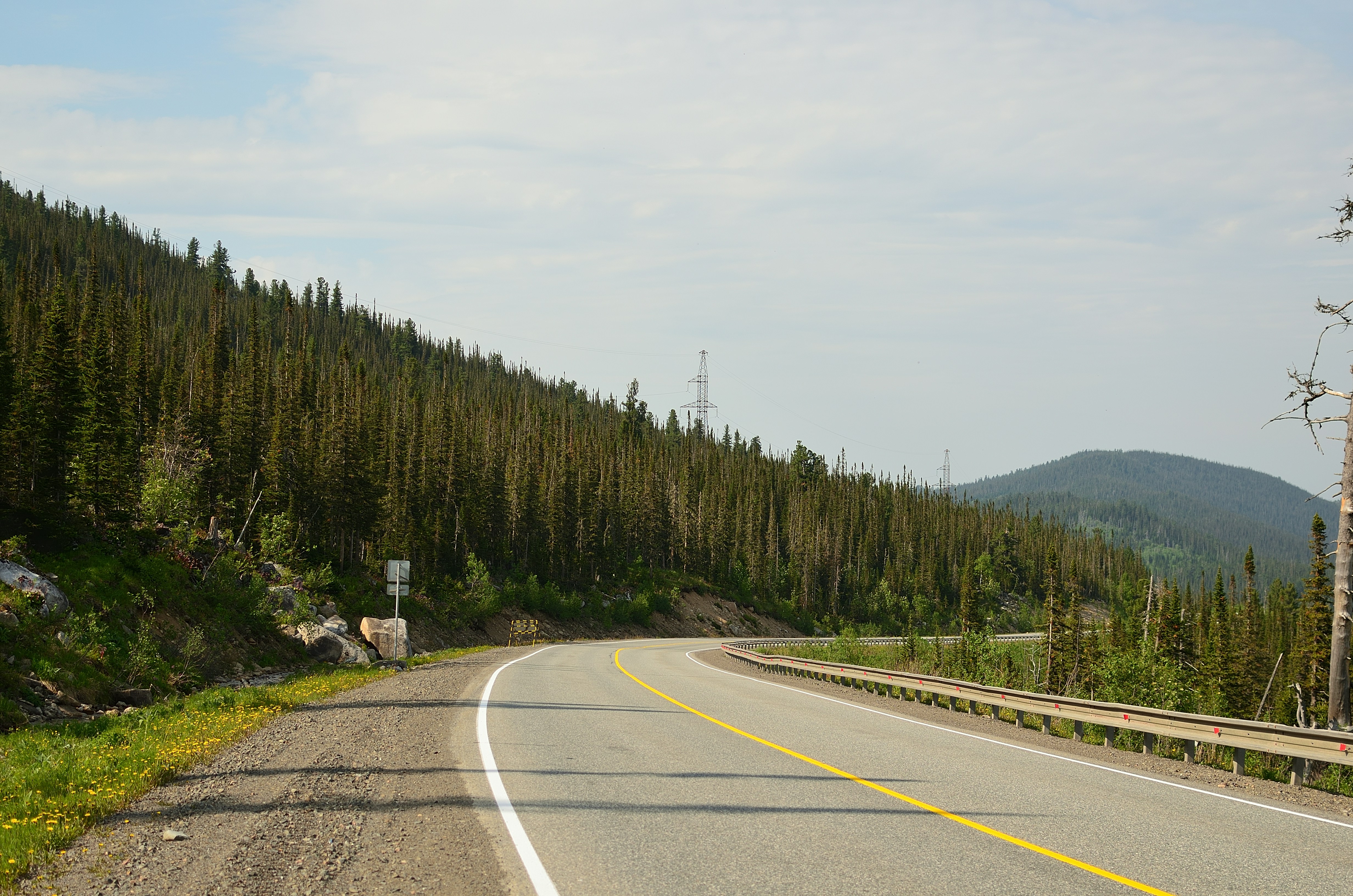 a road with trees on the side with Clearwater National Forest in the background