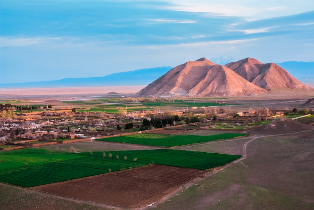 a large green landscape with a mountain in the background