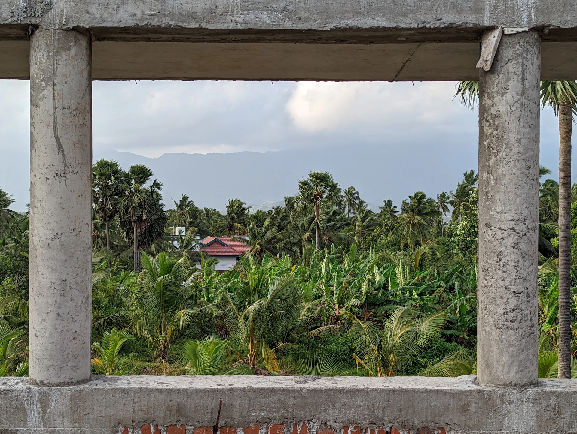 woman wearing yellow long-sleeved dress under white clouds and blue sky during daytime