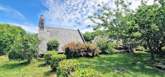 A serene garden where elderly residents sit peacefully, sharing smiles under soft teal skies.