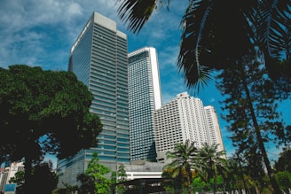 Several high-rise buildings stand prominently against a bright blue sky, surrounded by lush green trees and palm fronds. The architecture is modern with glass and concrete facades, highlighting an urban cityscape.