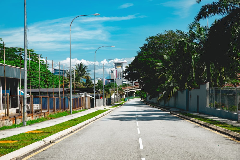 a road with trees on the side