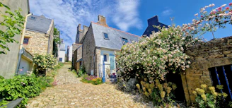 Stone pathway leading to a luxury cottage surrounded by blooming rhododendrons and mountain peaks