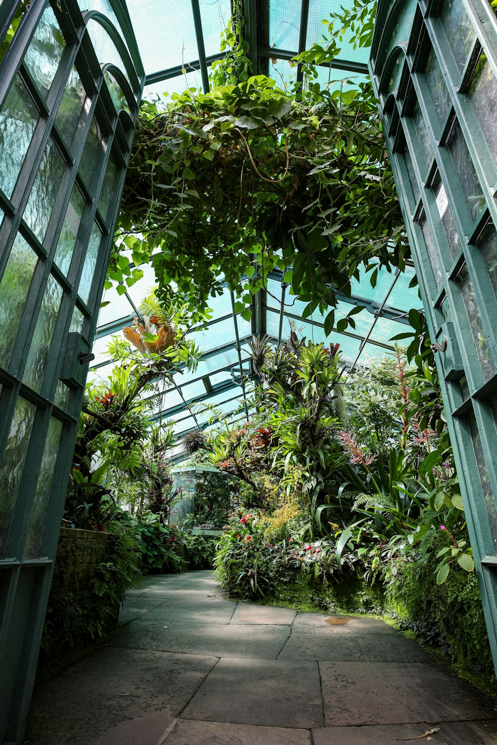 un jardin avec un mur de verre