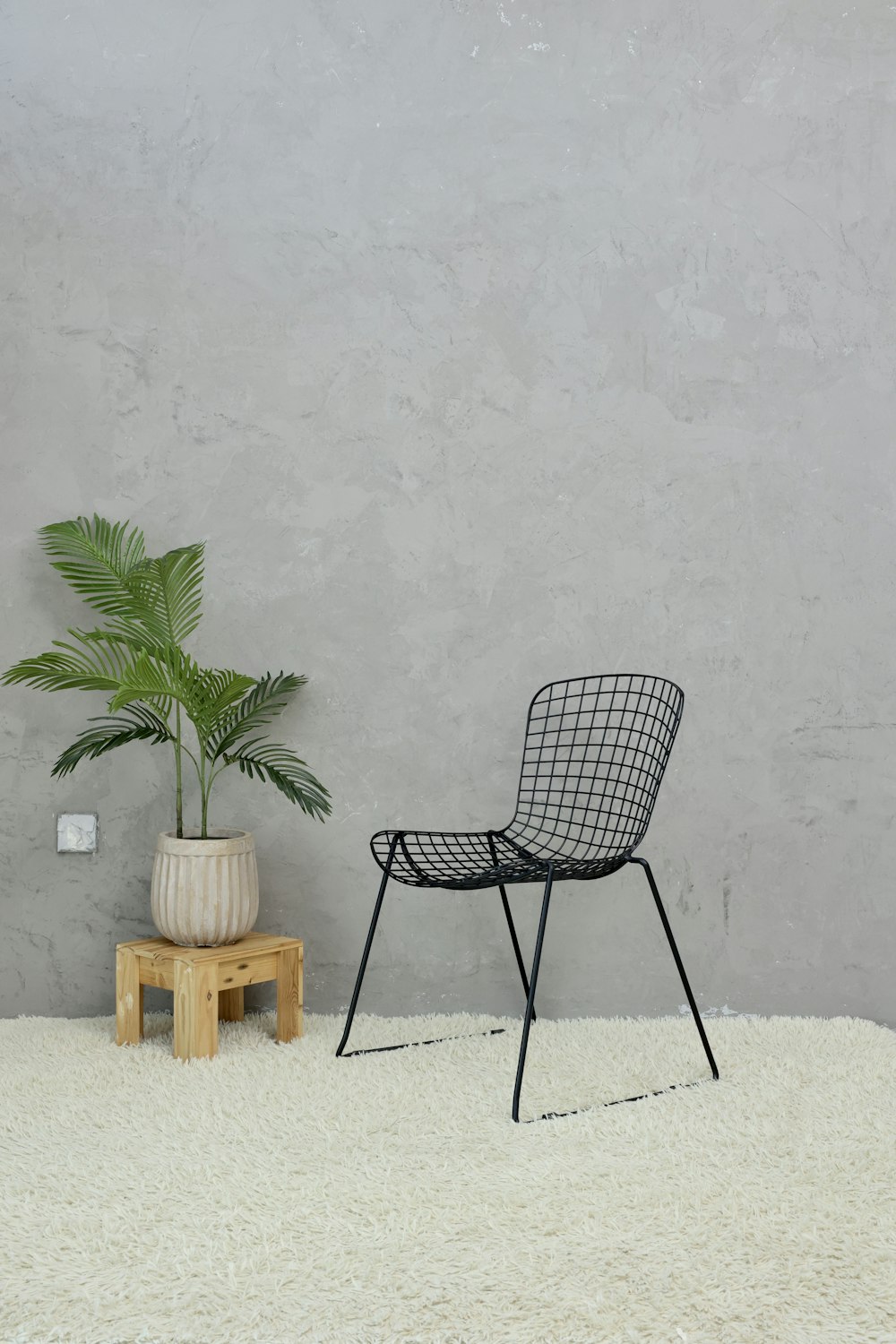 a chair and a plant in a room