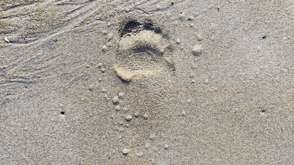 a close up of a beach