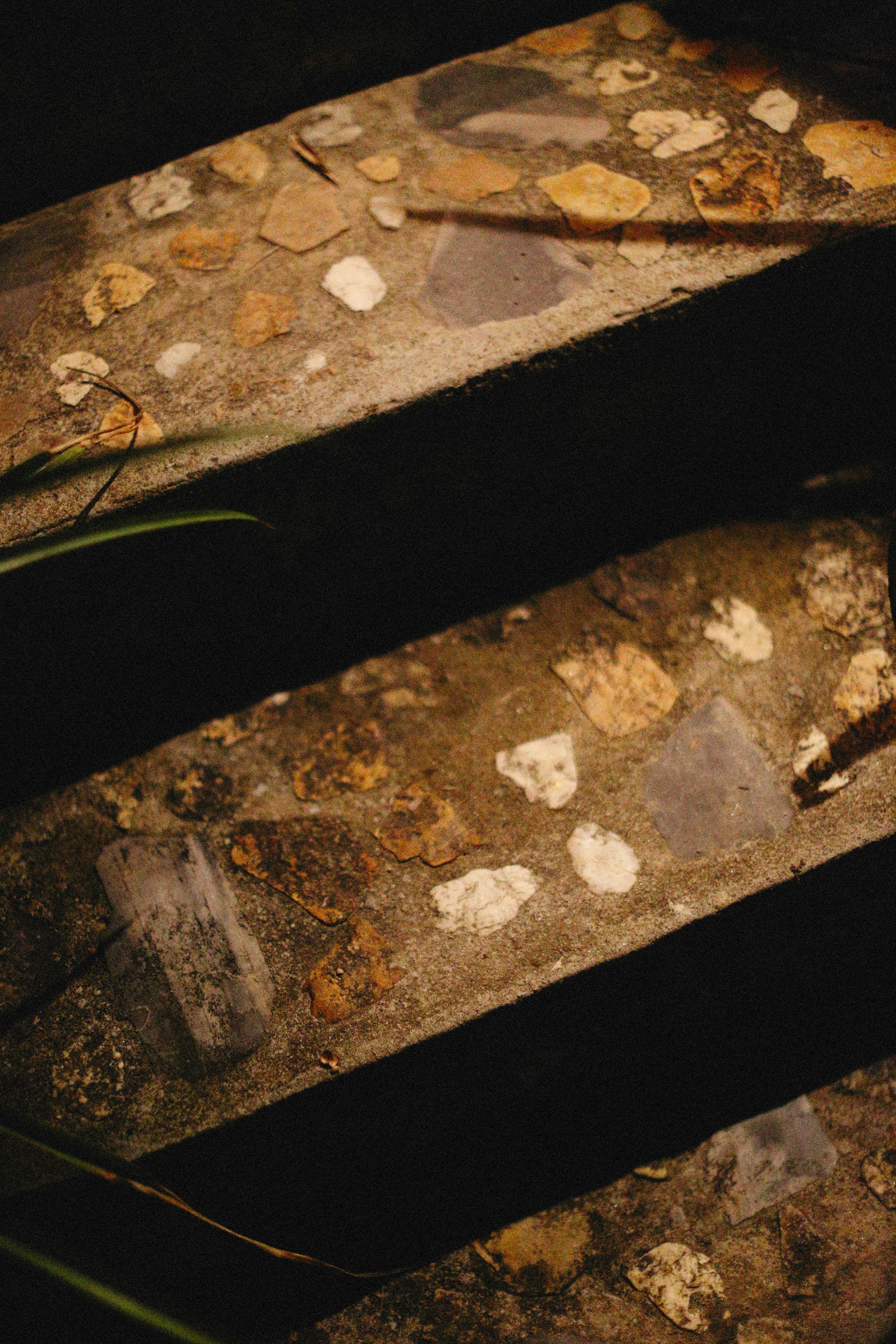 Photo by alexeydemidov