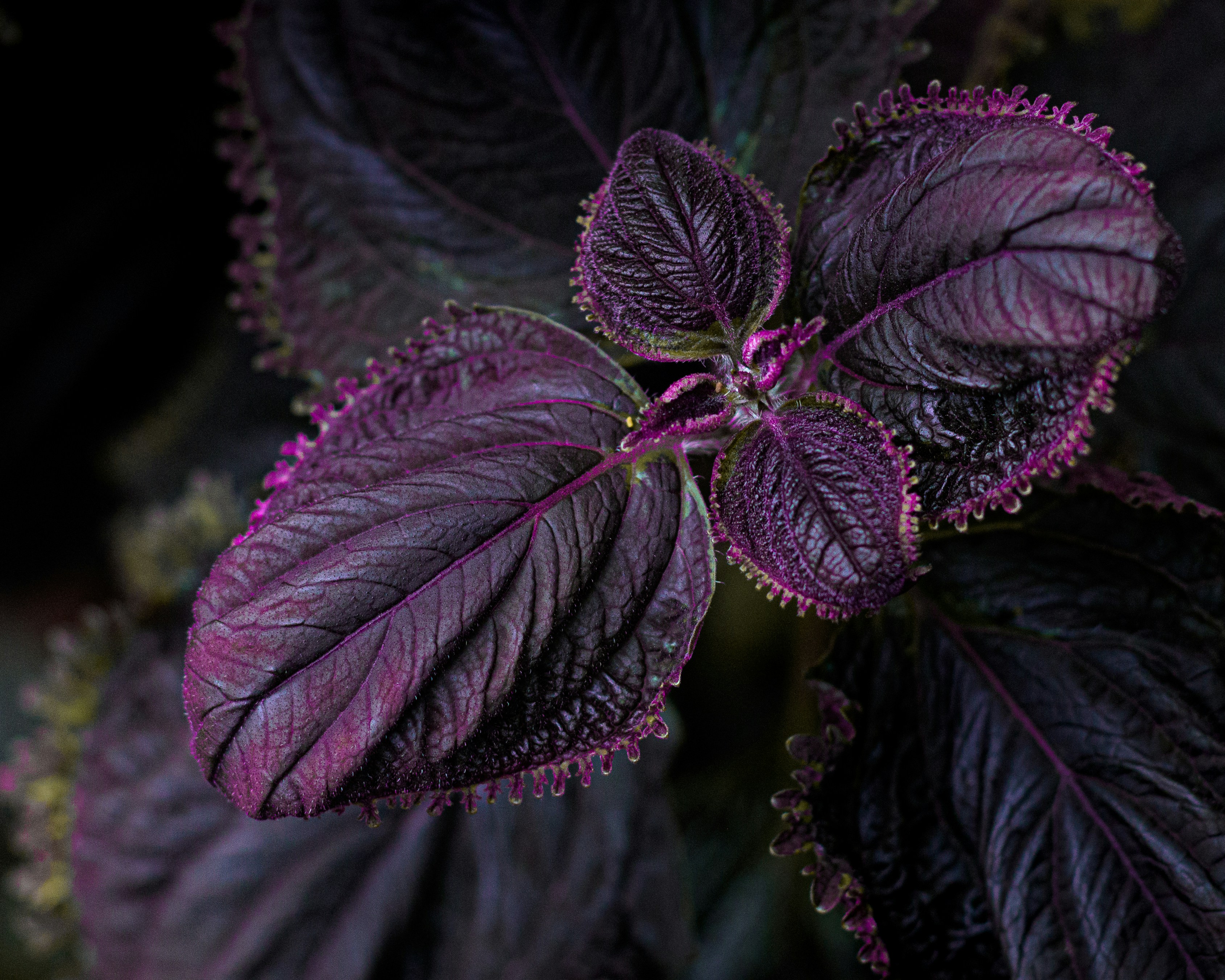 Photo by glennvillas