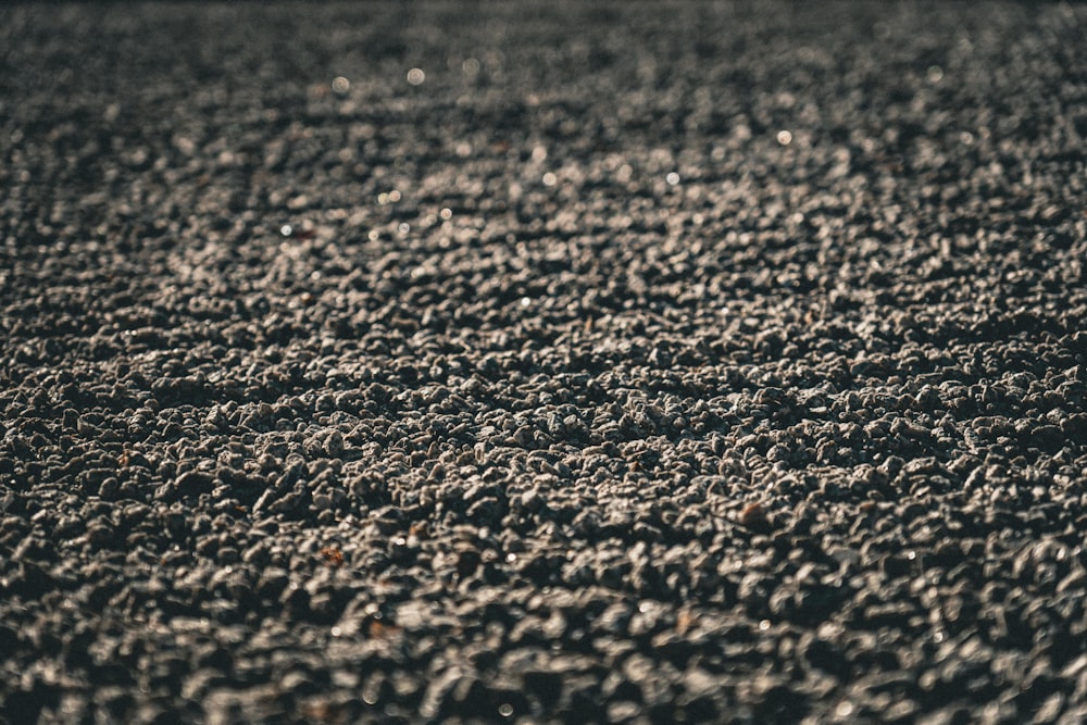 a close up of a rock