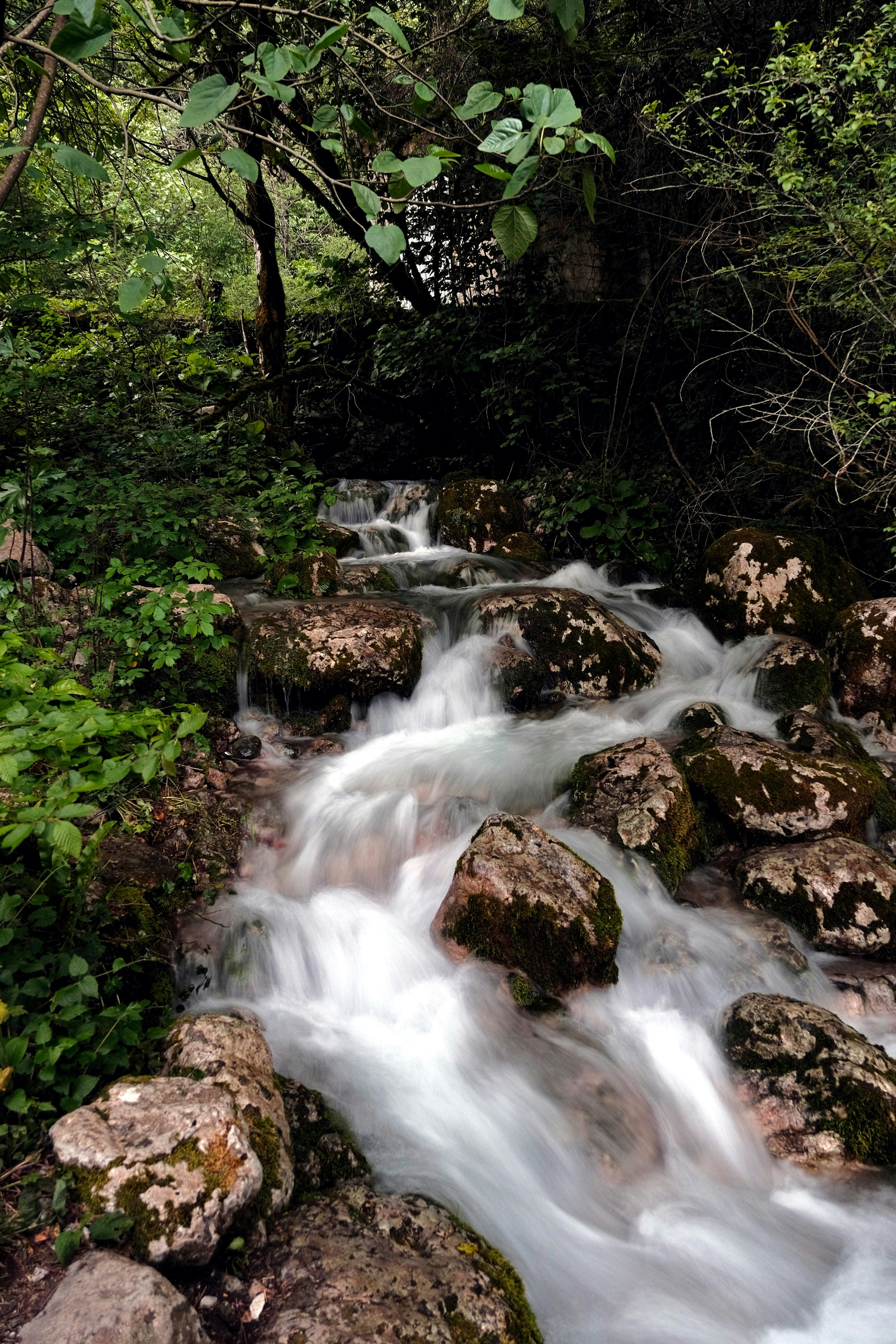 Photo by mrparalloid