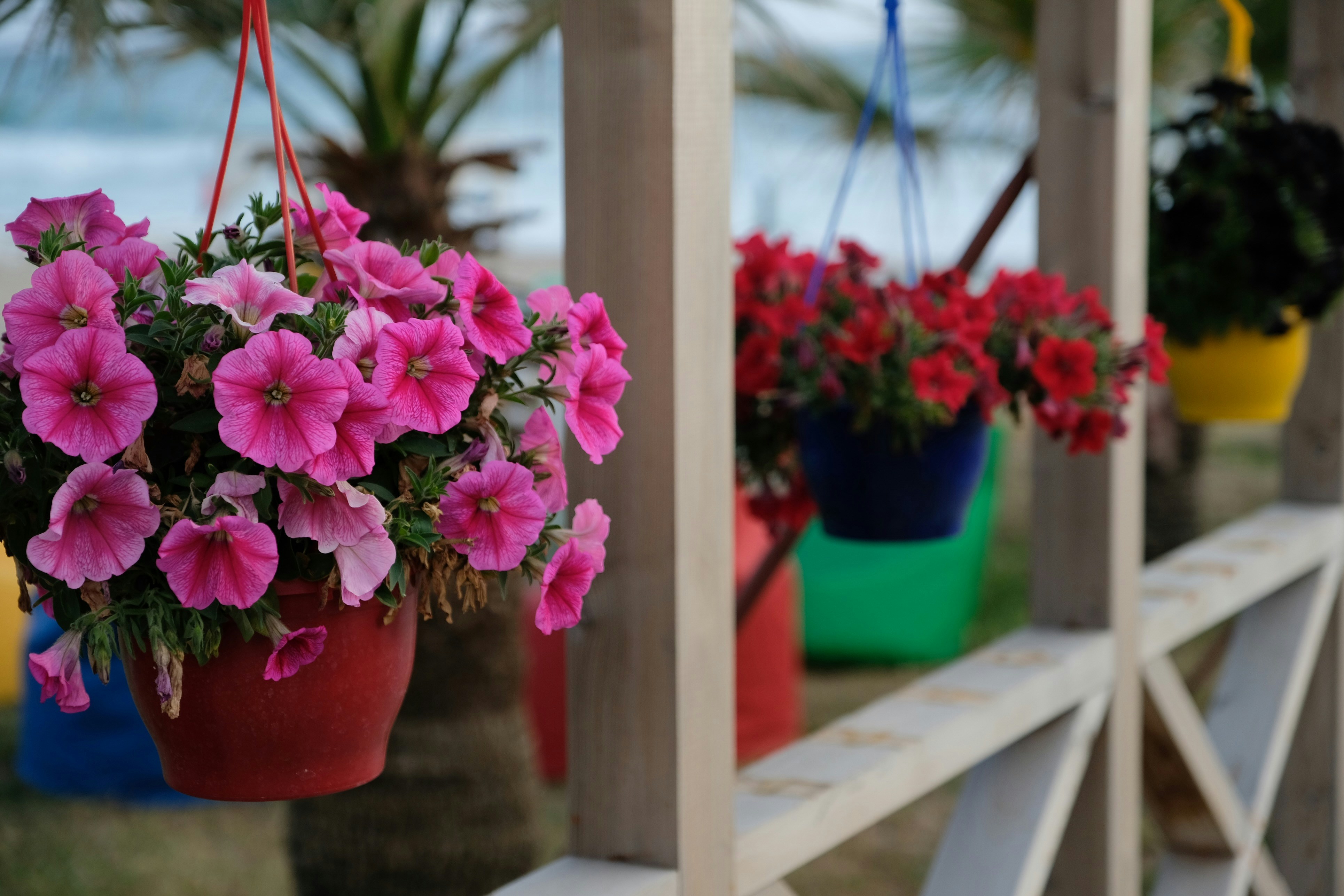 Photo by mrparalloid