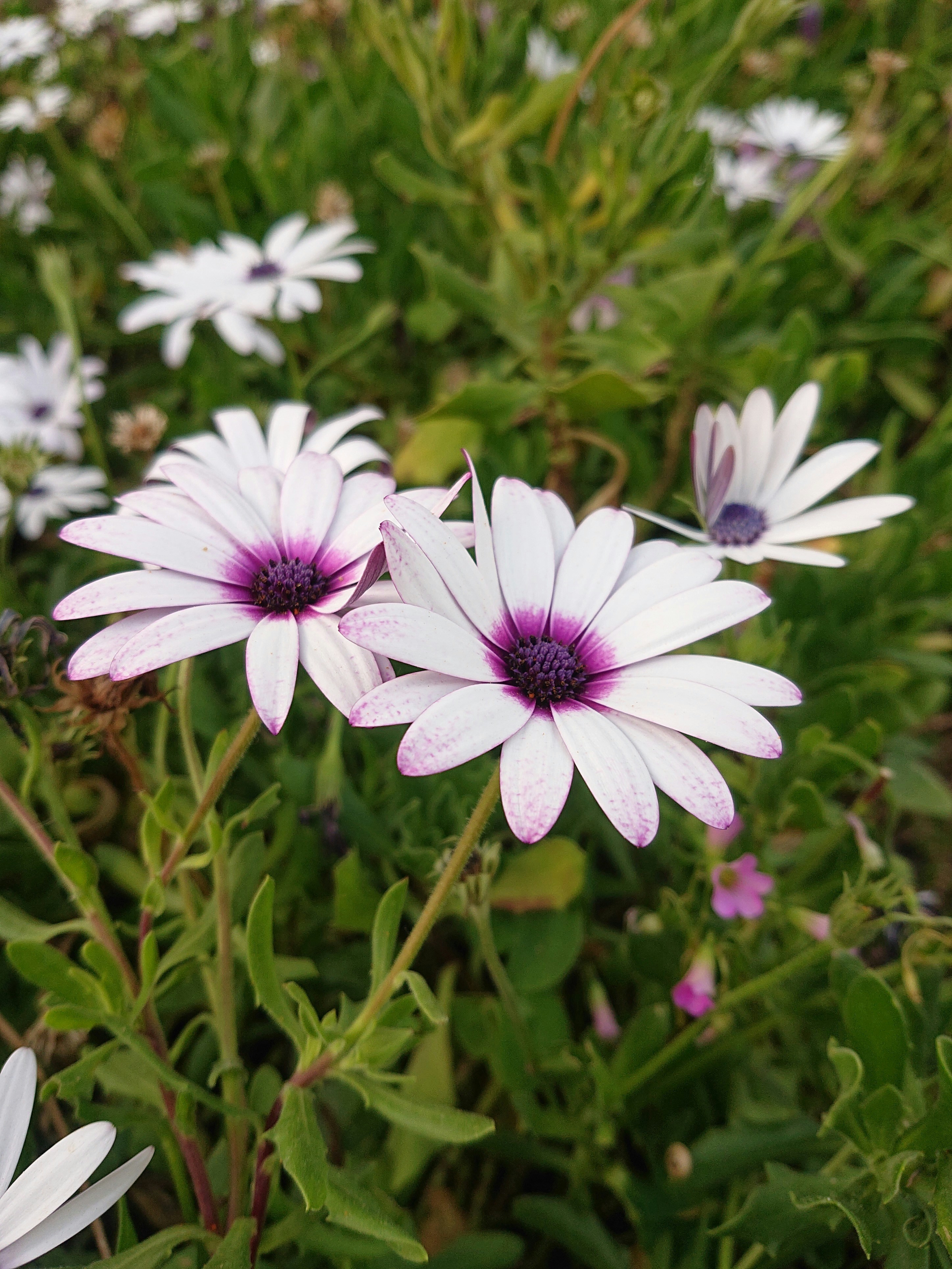 Photo by mrparalloid