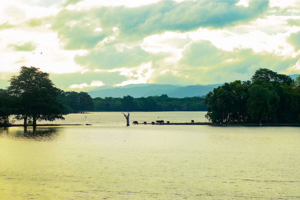 a body of water with trees and mountains in the background