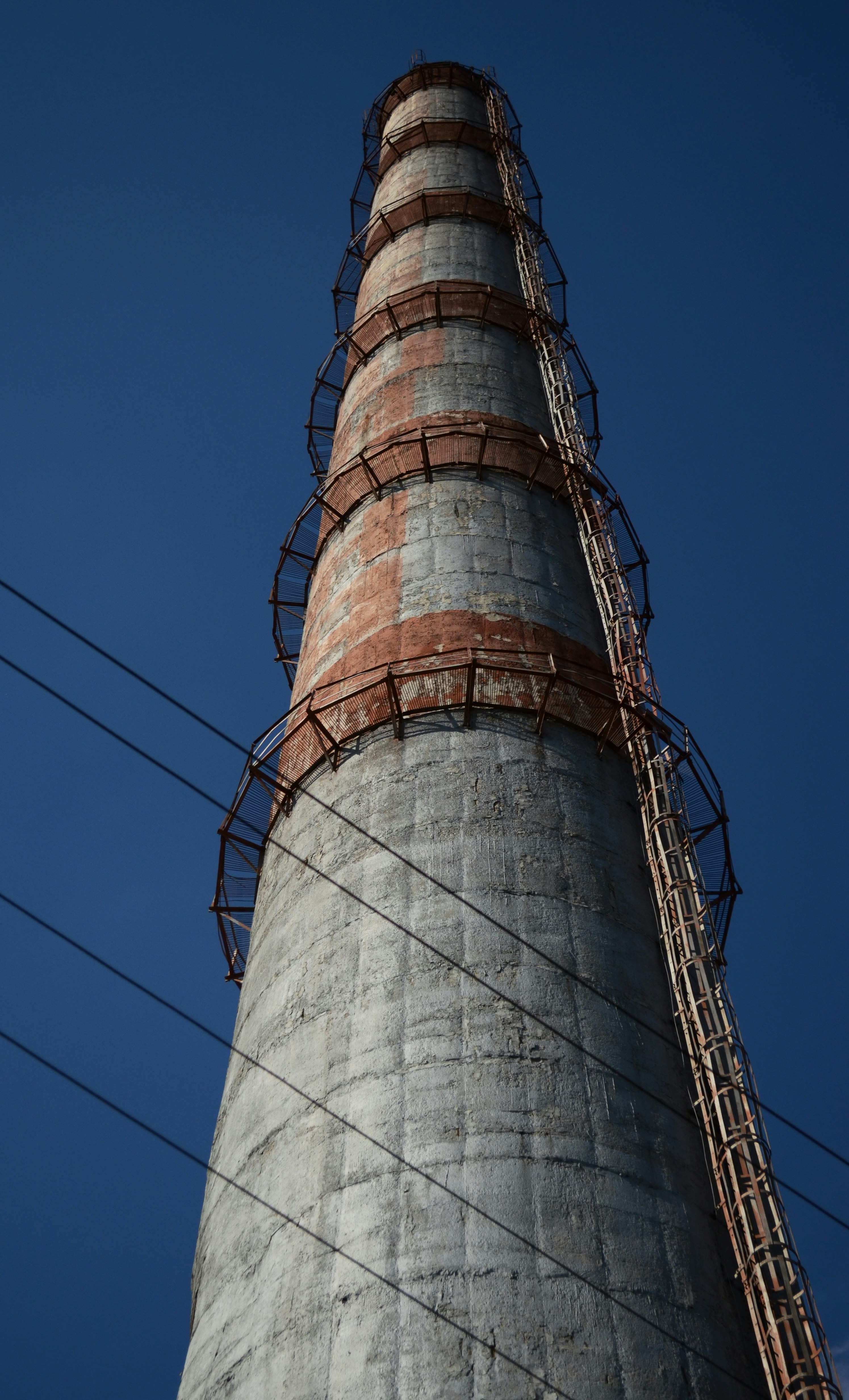 Photo by timesnewroman14