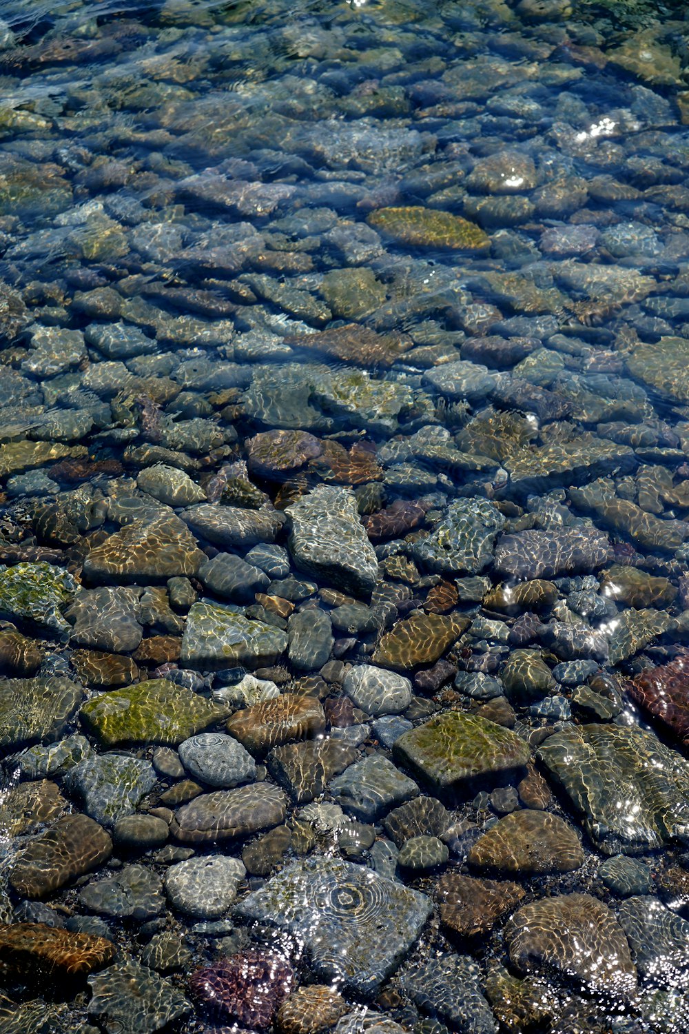 a rocky river bed