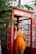 A woman stands in a vintage red telephone booth, holding a phone to her ear. She is wearing an orange sleeveless outfit and is surrounded by green foliage. The setting appears to be outdoors with natural lighting.