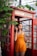 A woman stands in a vintage red telephone booth, holding a phone to her ear. She is wearing an orange sleeveless outfit and is surrounded by green foliage. The setting appears to be outdoors with natural lighting.