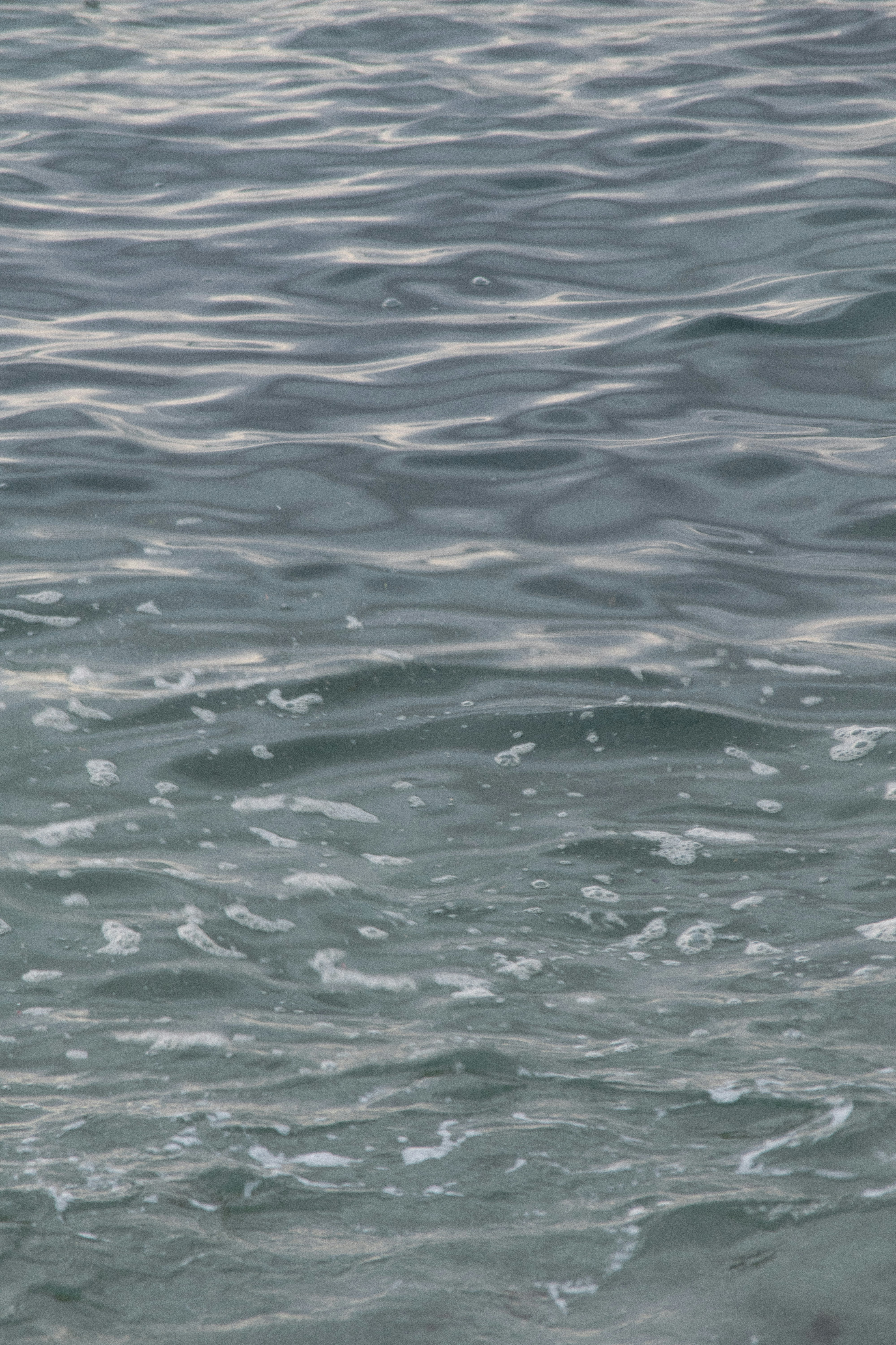 Photo by naluchitolina