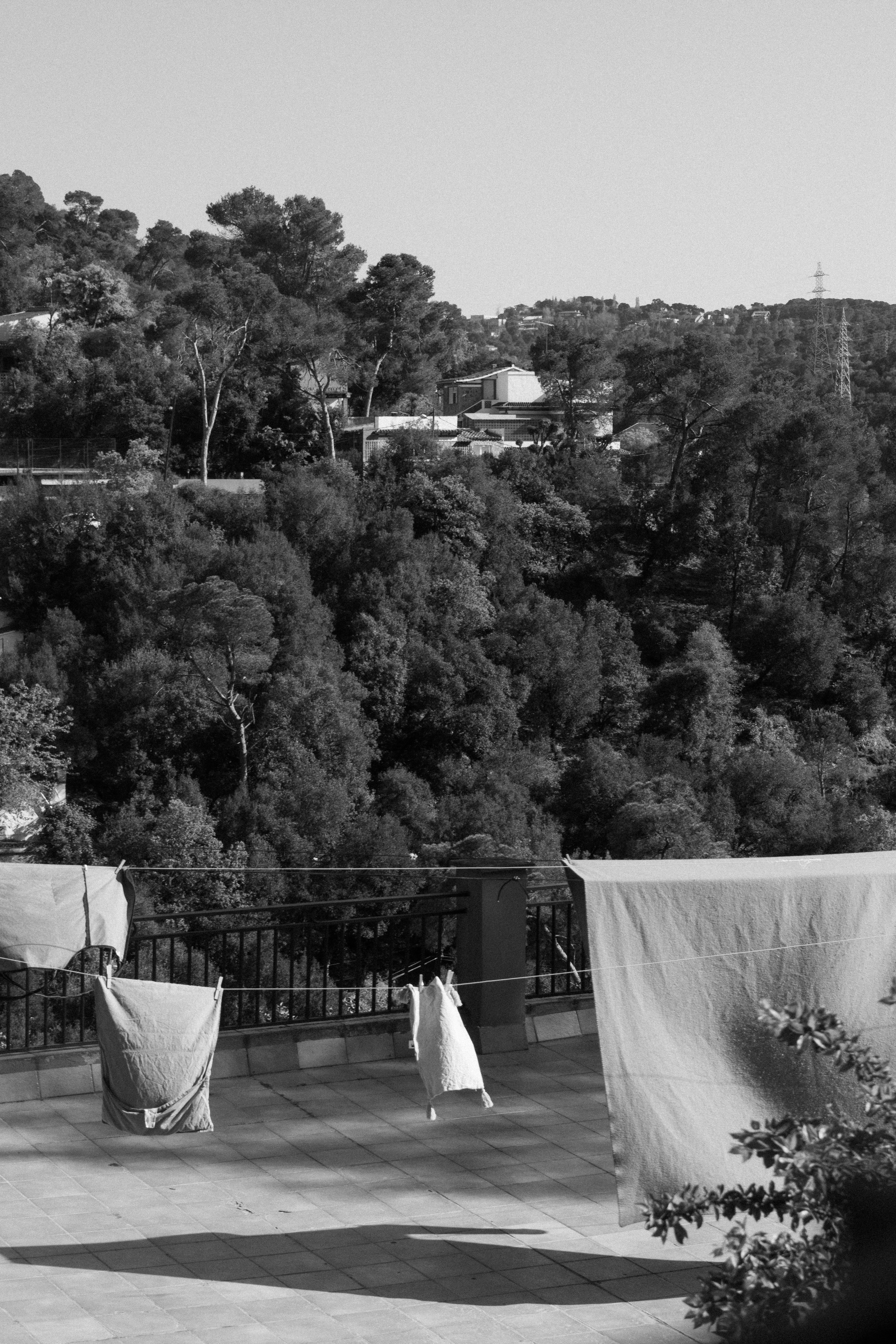 a stone walkway with trees and a building in the background