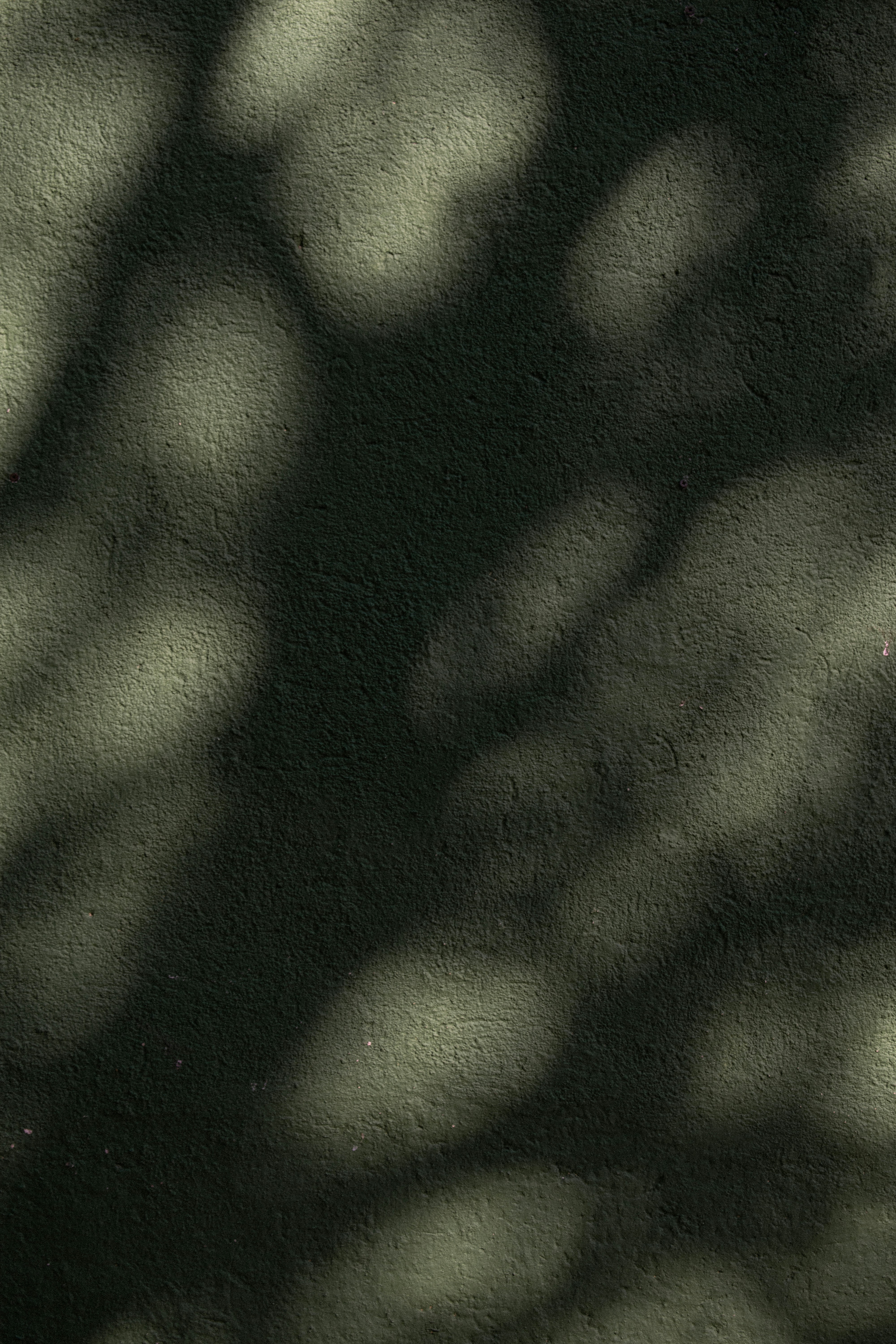 Photo by naluchitolina